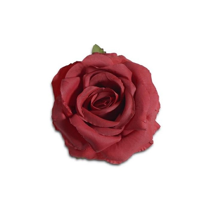 ROSA RED STELO CM10XD13